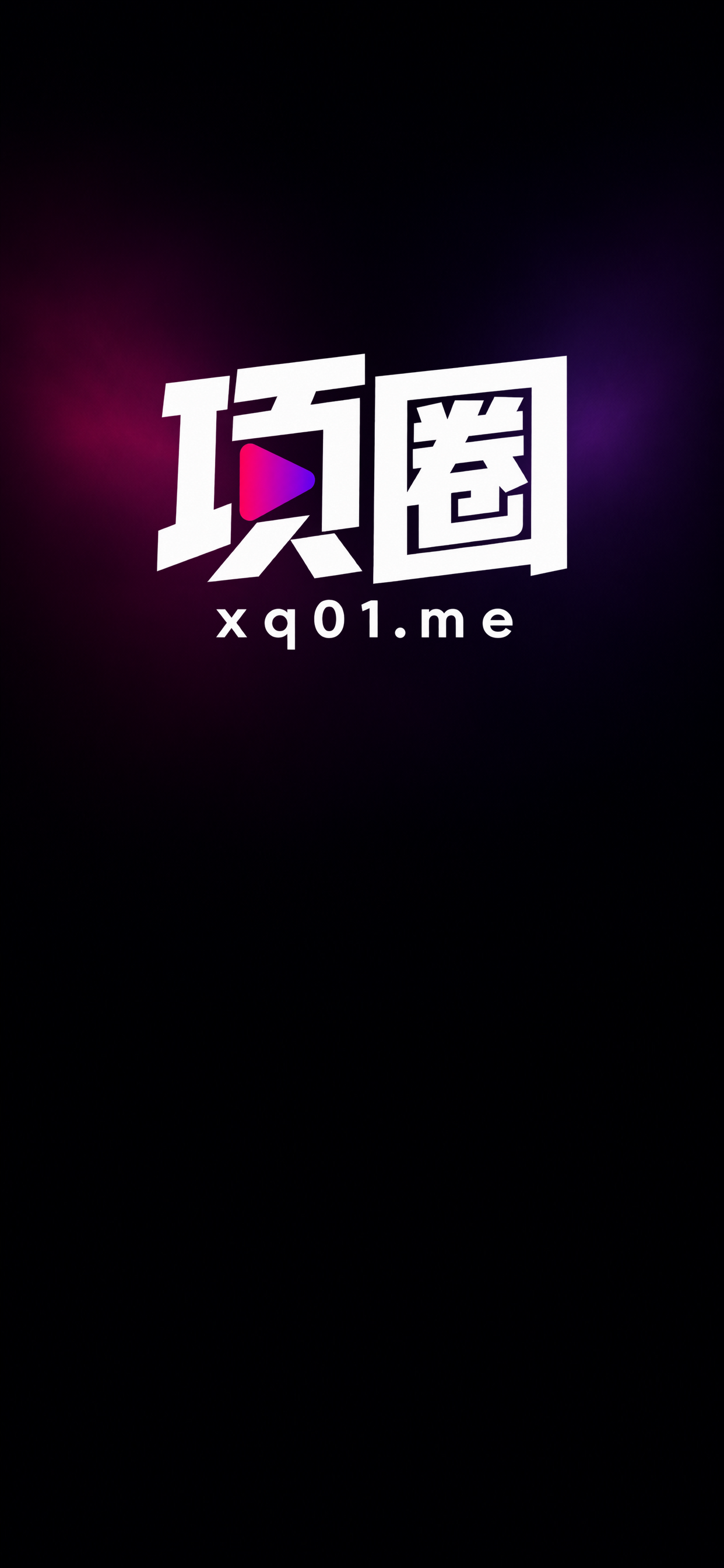 项圈品牌展示
